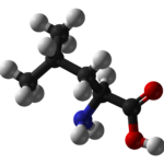 bcaa - L leucine